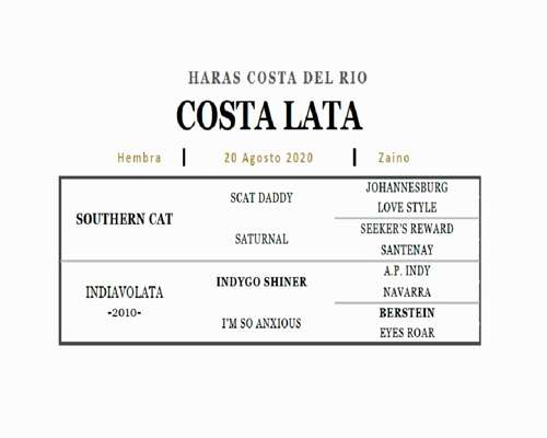 Lote COSTA LATA (SOUTHERN CAT - INDIAVOLATA)
