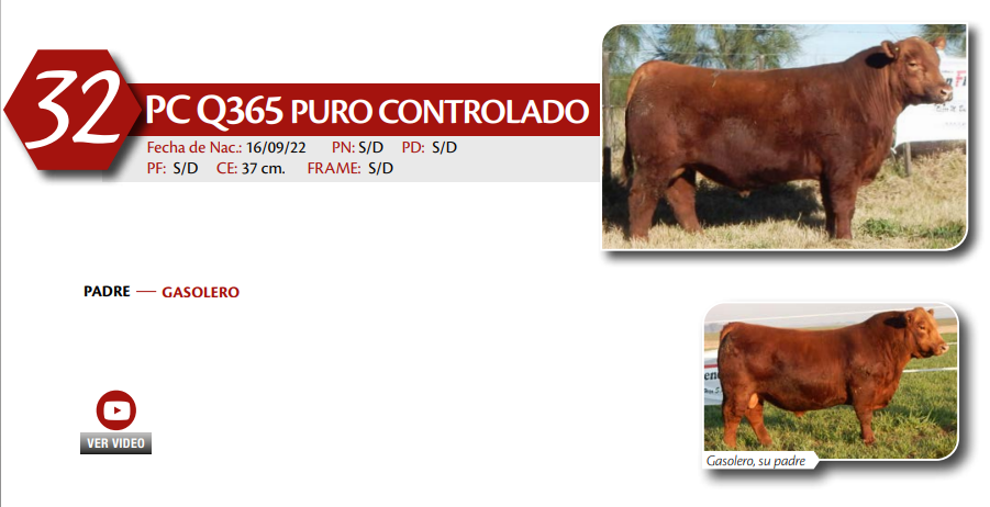 Lote MACHO PC