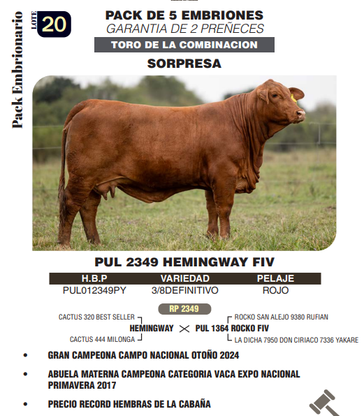 Lote LOTE 20