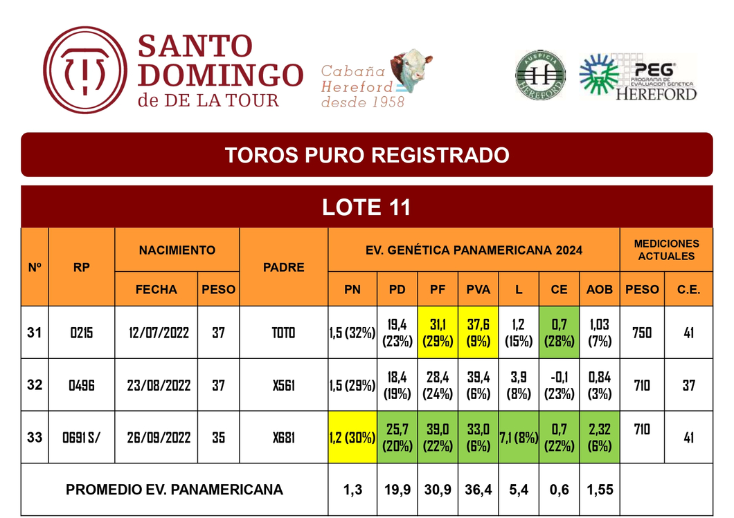 Lote TOROS PR (LOTES) - ( Incluye S/ )