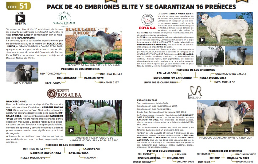 Lote LOTE 51