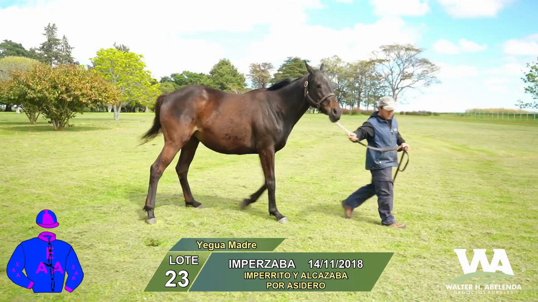 Lote IMPERZABA
