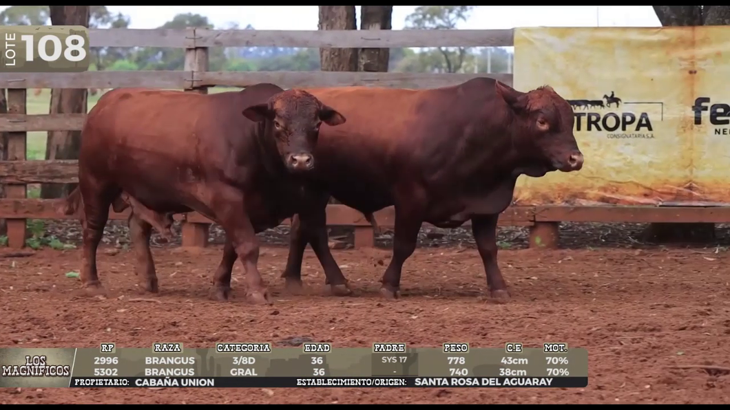 Lote LOTE 108