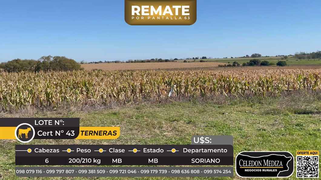 Lote 6 Terneras Puntas de Arenales, a 9 km de Agraciada,Soriano