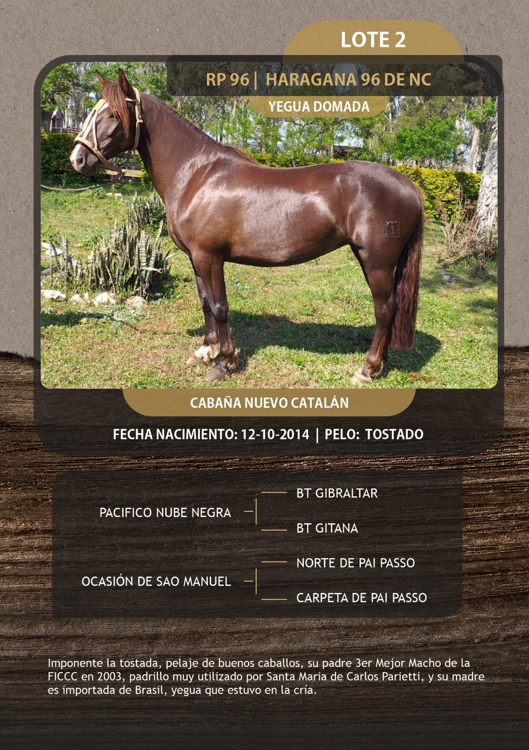 Lote HARAGANA 96 DE NC