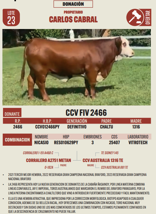 Lote LOTE 23