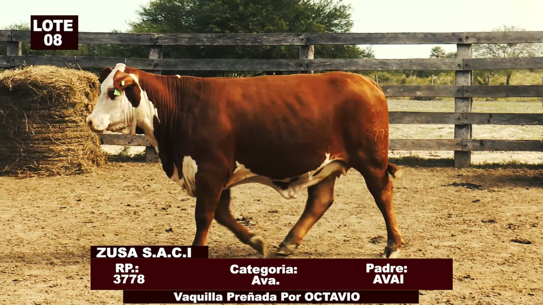 Lote Cabañas de Tradición - Lote 08