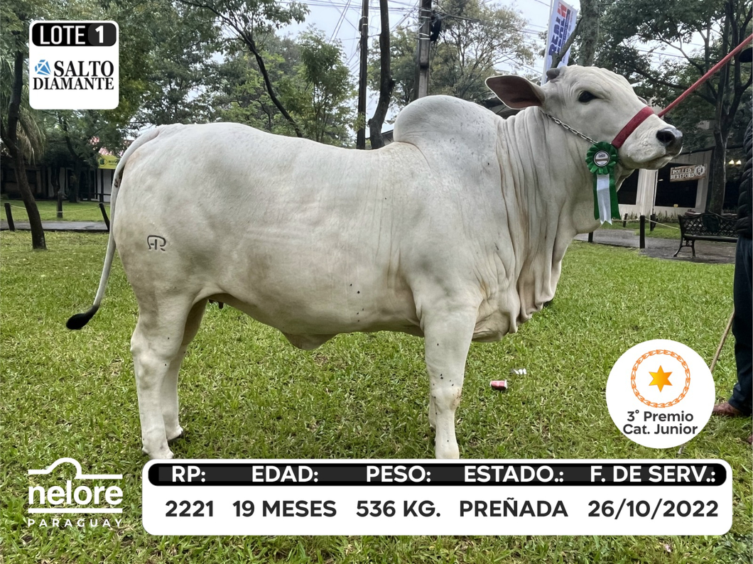 Lote LOTE 1