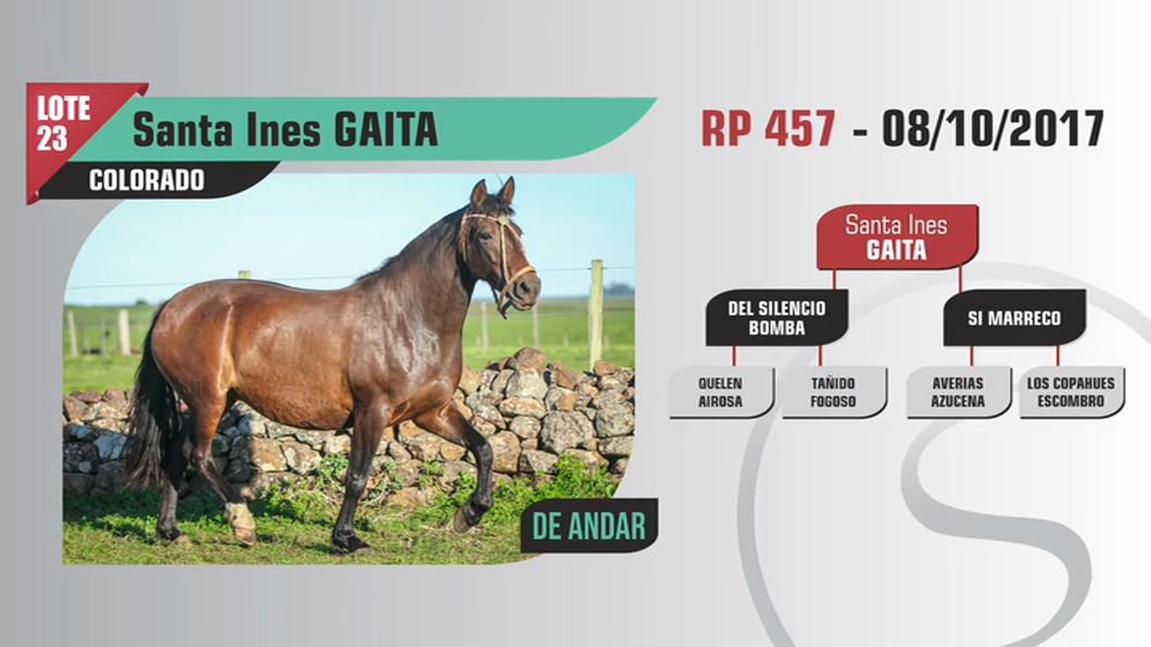 Lote Santa Ines GAITA