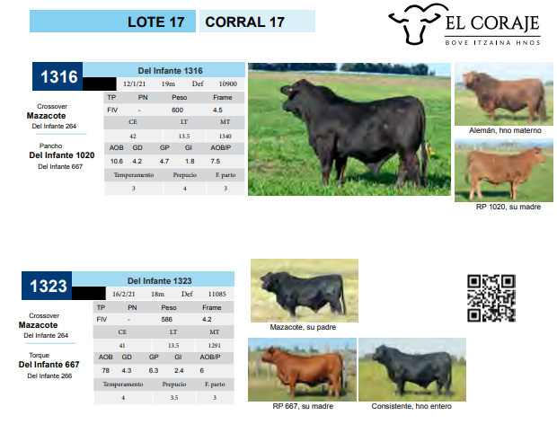 Lote CORRAL 17