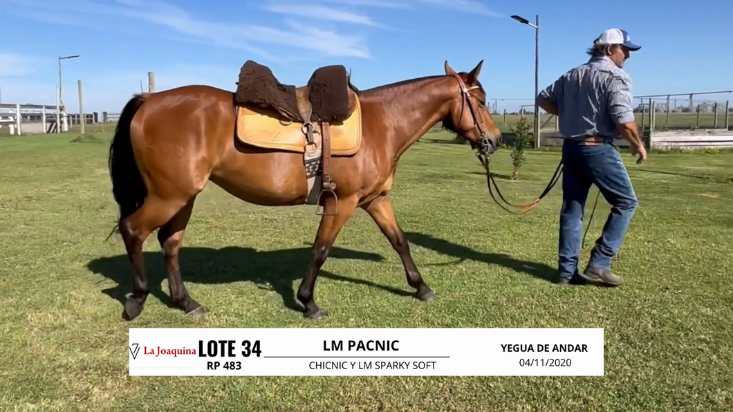 Lote LM PACNIC