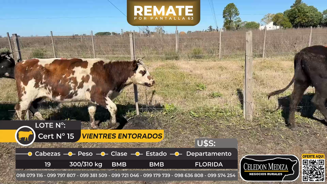 Lote 19 Vientres entorados  en Ruta 5 km148 Piedras Coloradas, Florida