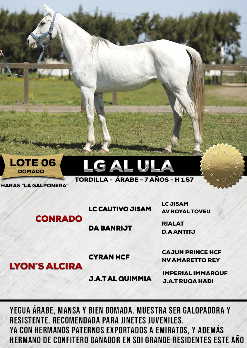 Lote LG AL ULA