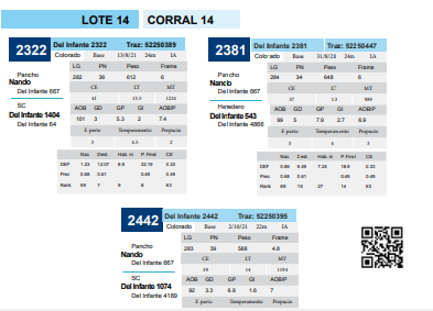 Lote Corral 14