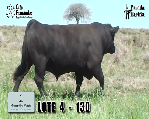 Lote LOTE 4