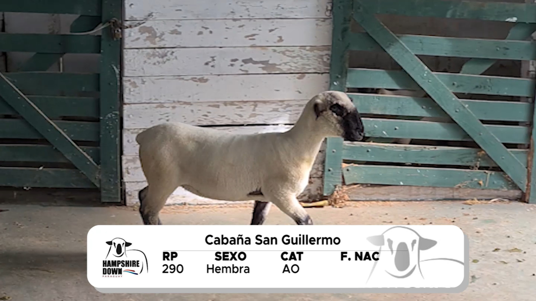 Lote LOTE 11 A CAMPO - RP 290