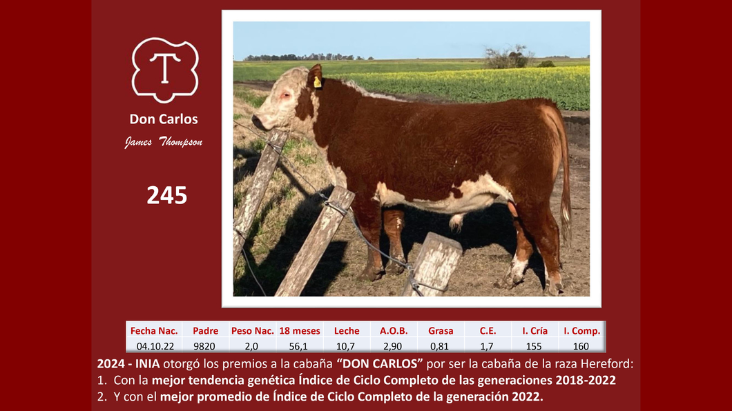 Lote Don Carlos