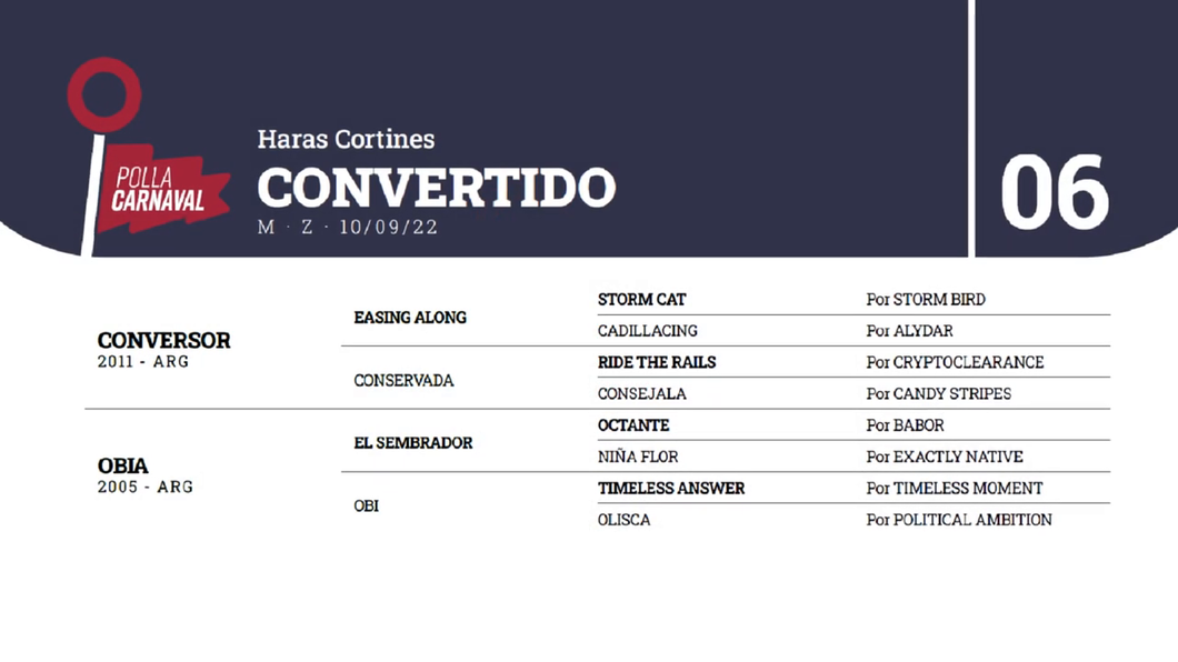 Lote CONVERTIDO