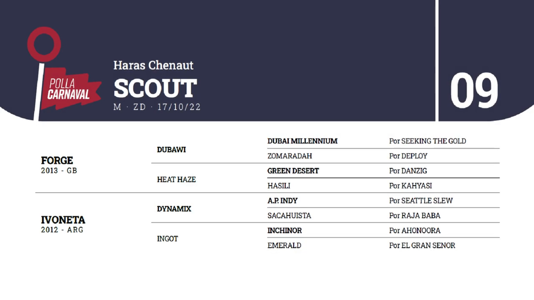 Lote SCOUT