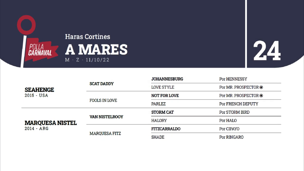 Lote A MARES