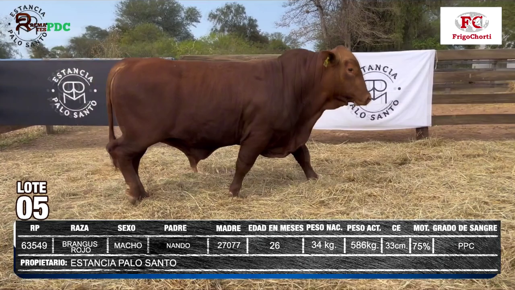 Lote ESTANCIA PALO SANTO