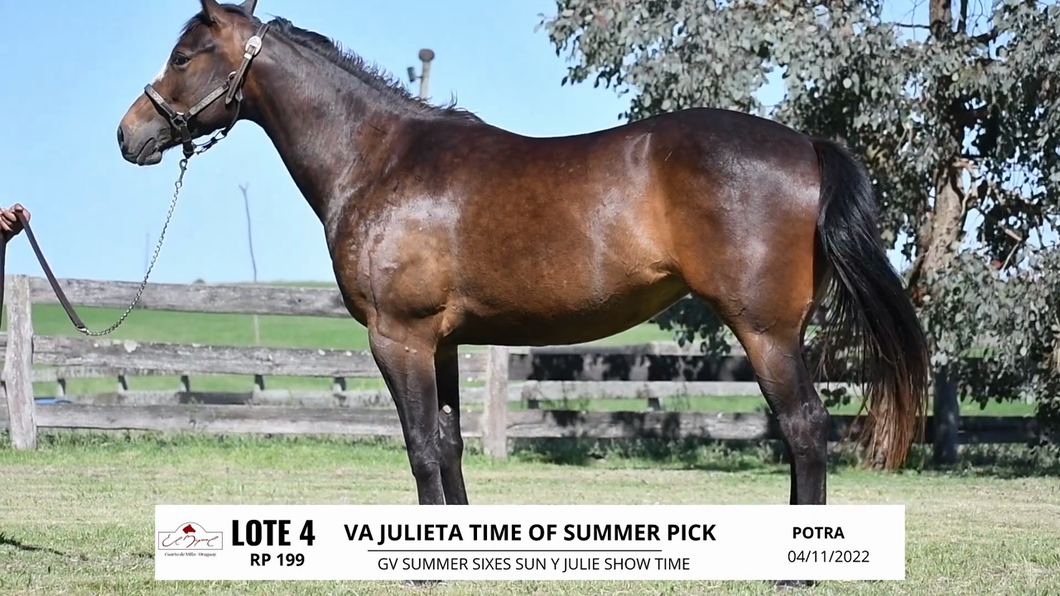 Lote VA JULIETA TIME OF SUMMER PICK