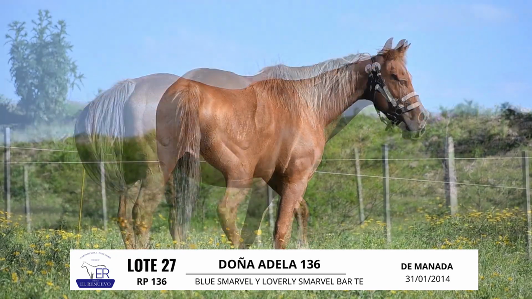 Lote DOÑA ADELA