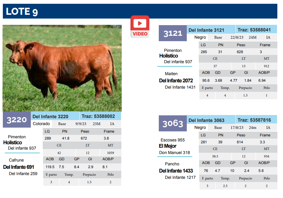 Lote Lote 9