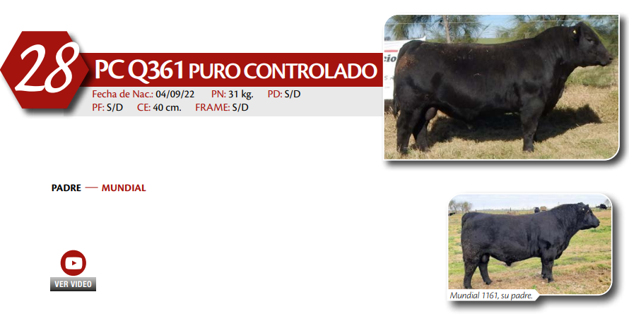 Lote MACHO PC