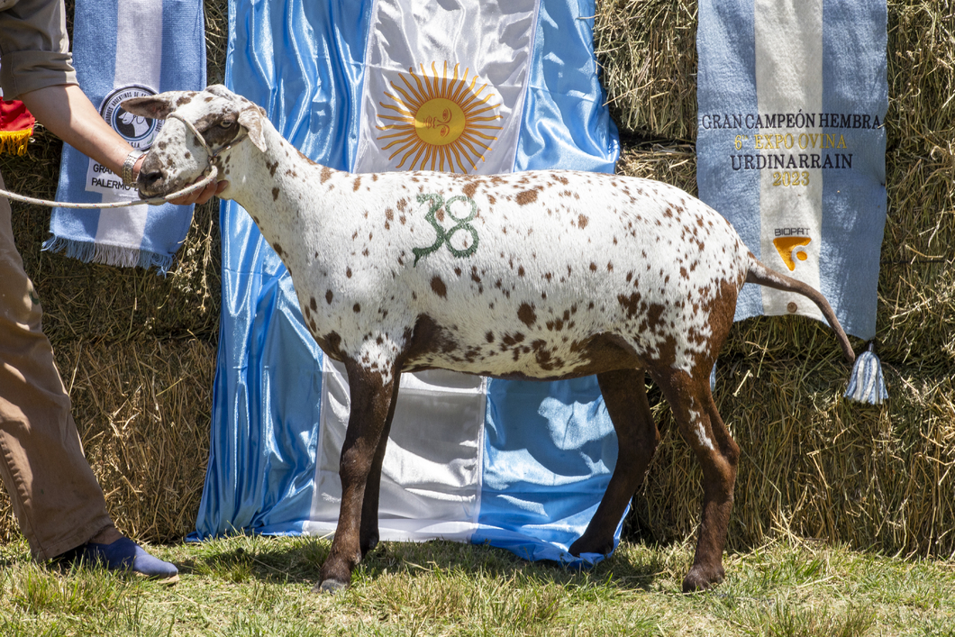 Lote SANTA INES P.P.C.