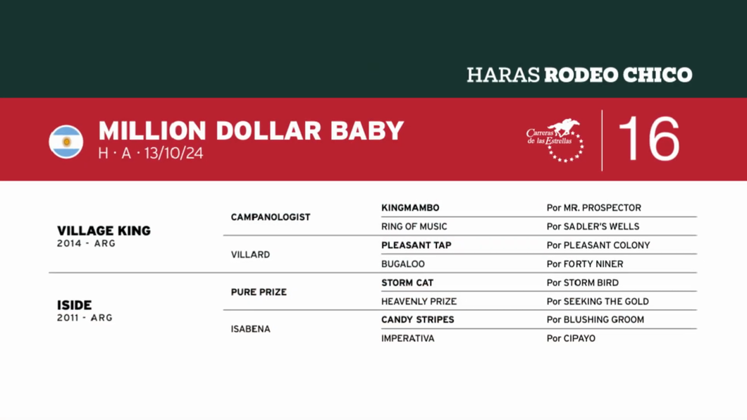 Lote MILLION DOLLAR BABY