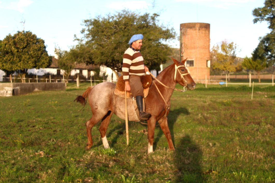 Lote GRINGA CUARTETERA