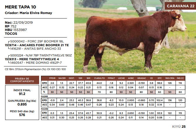 Lote MERE TAPA 10  (GRUPO 2)