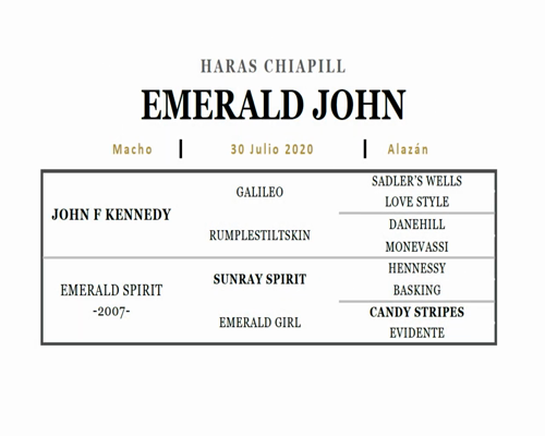 Lote EMERALD JOHN (JOHN F KENNEDY - EMERALD SPIRIT)