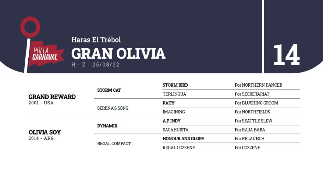 Lote GRAN OLIVIA