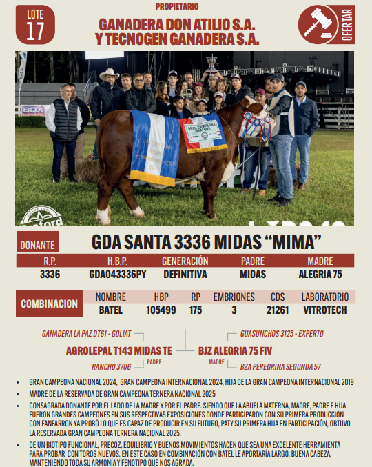 Lote LOTE 17