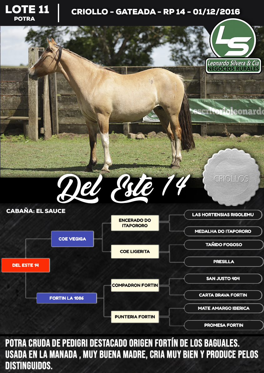 Lote DEL ESTE 14