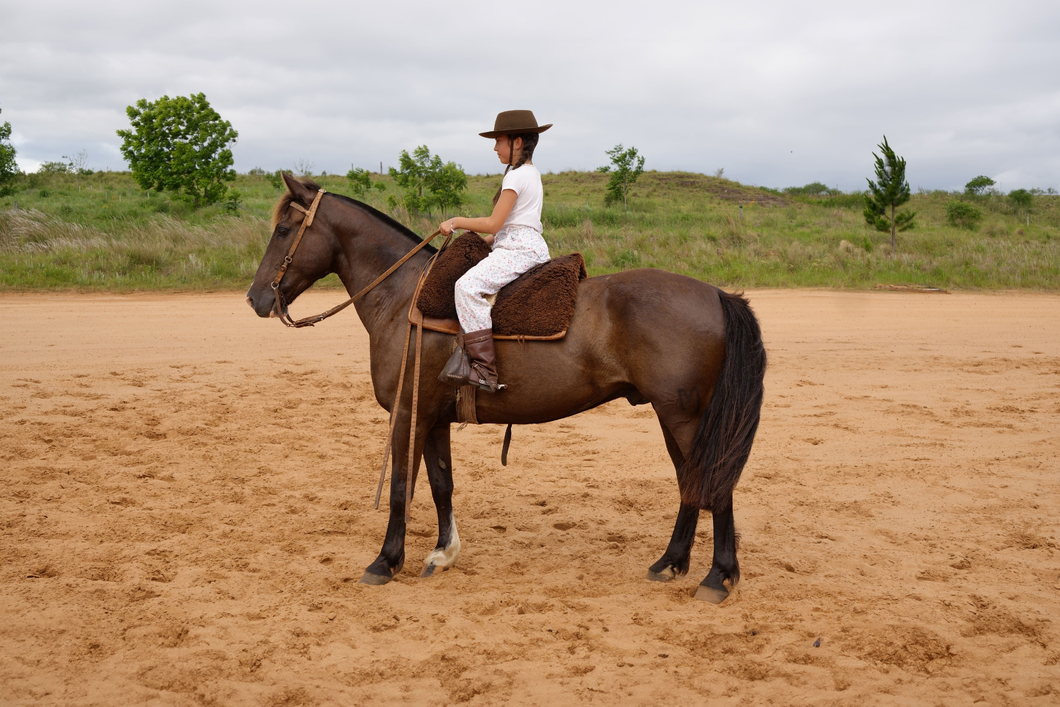 Lote LAS CAÑAS MANICERO
