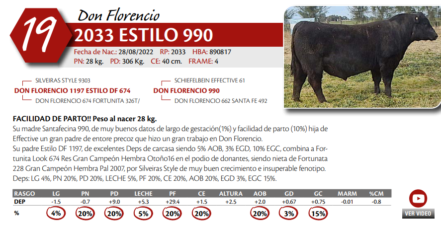 Lote MACHO PC