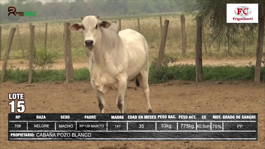 Lote CABAÑA POZO BLANCO