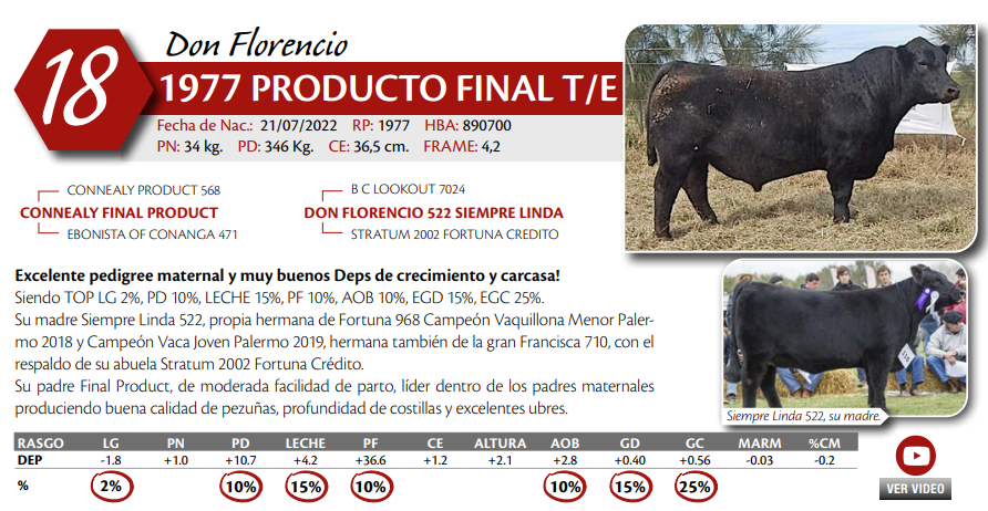 Lote MACHO PP