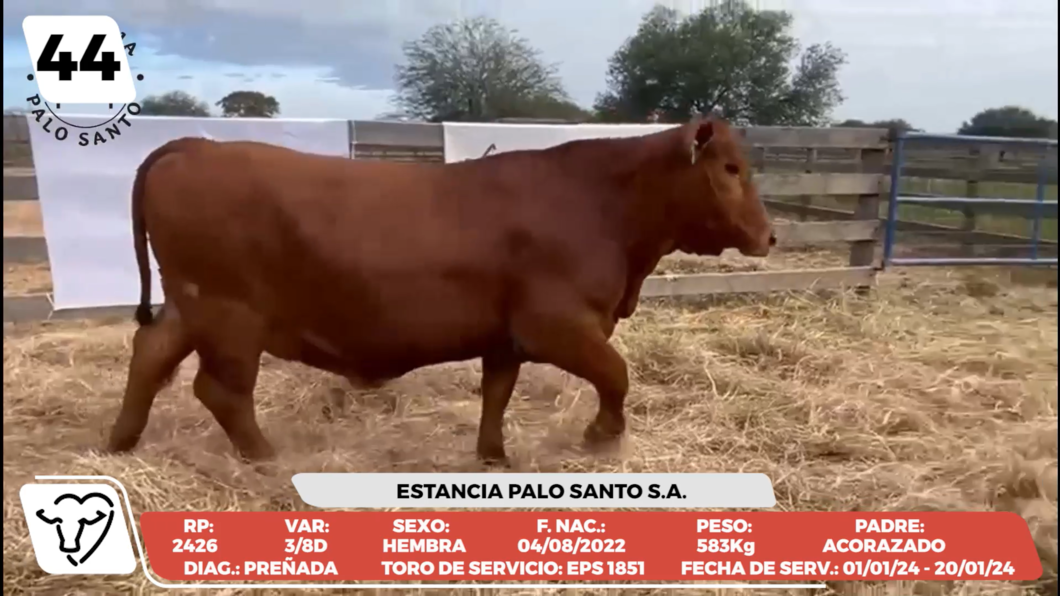 Lote LOTE 44