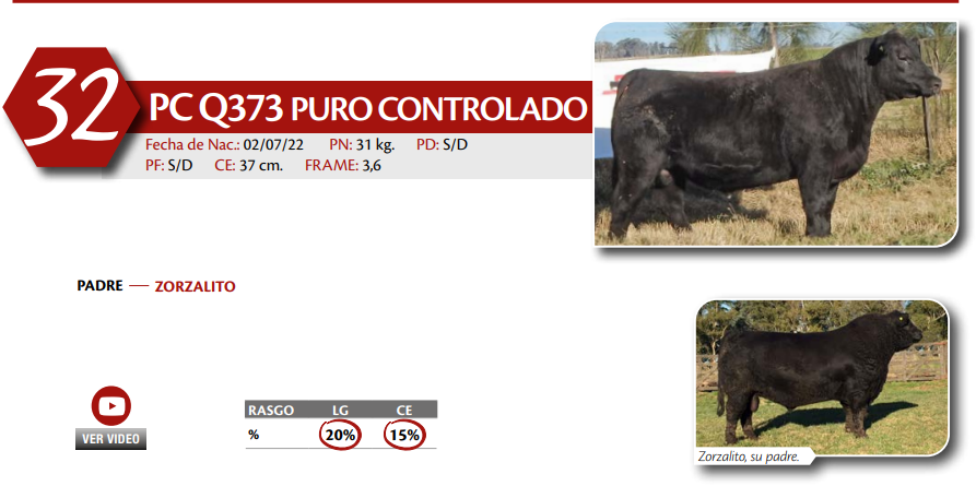 Lote MACHO PC