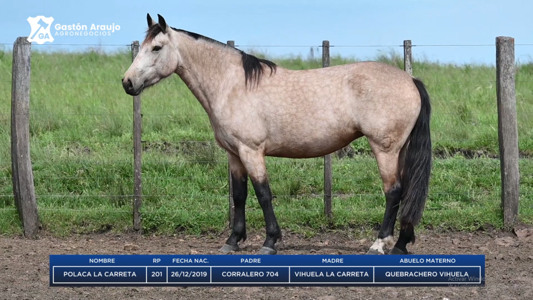 Lote POLACA LA CARRETA