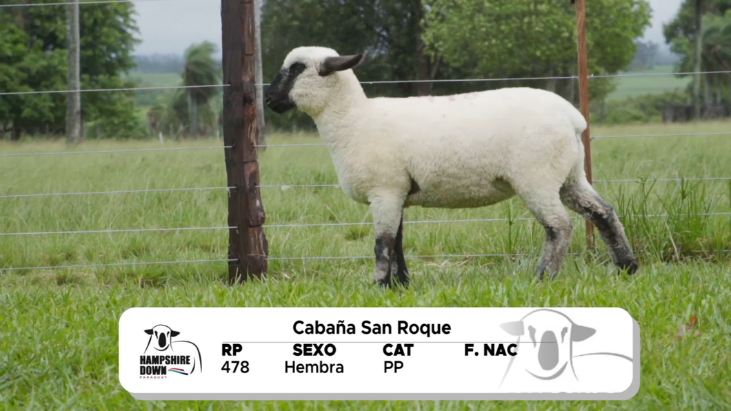 Lote LOTE 1 A CAMPO - RP 478
