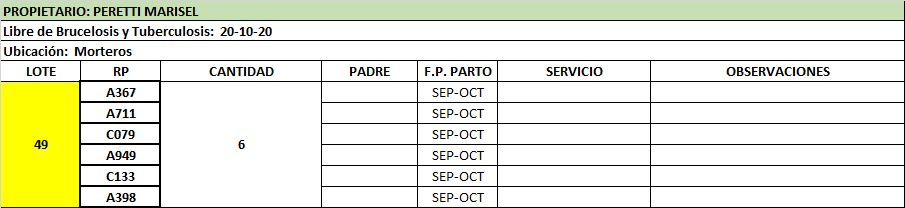 Lote Vaquillonas preñadas