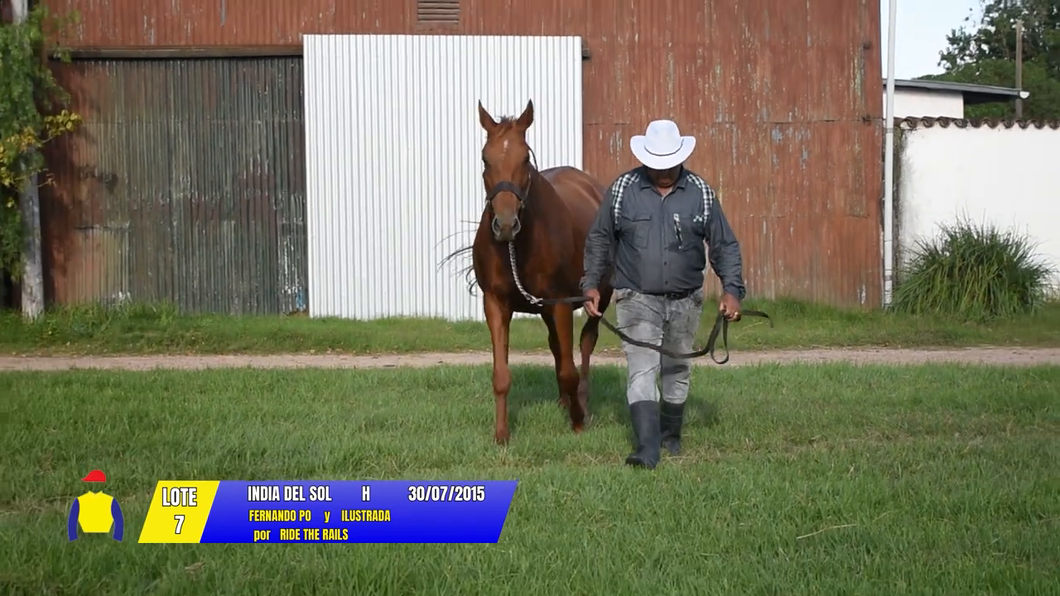 Lote INDIA DEL SOL