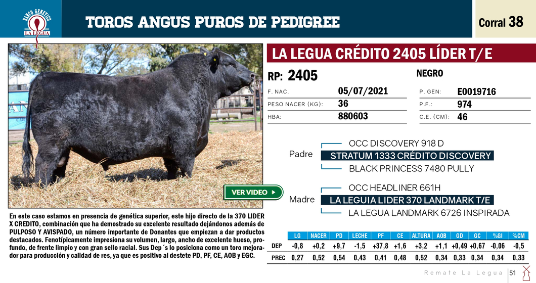 Lote TOROS ANGUS PP (RP 2401 SE VENDE EL 50%) (RP 2405 SE VENDE EL 100%)