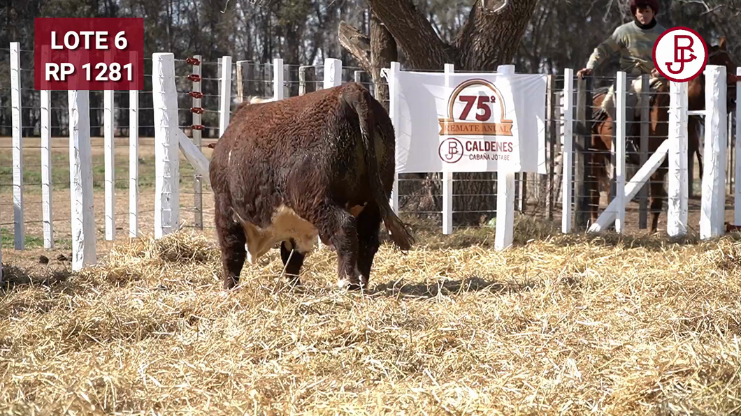 Lote TORO