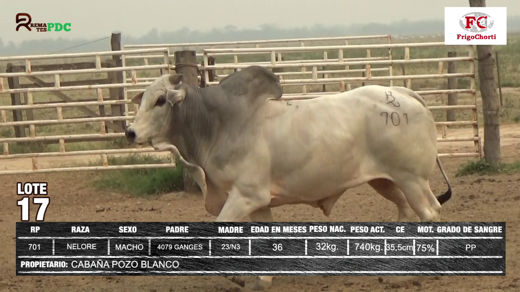 Lote CABAÑA POZO BLANCO